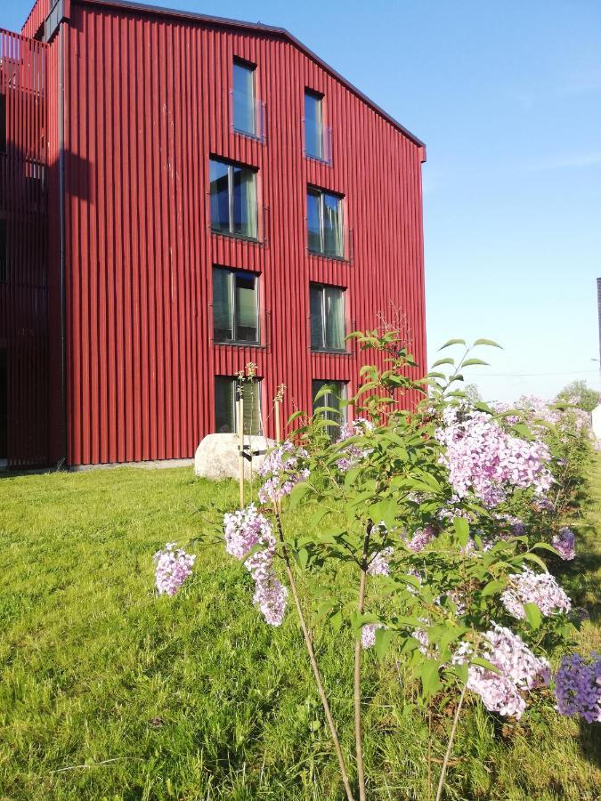 Apartamento Kalamaja Garden *